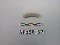 藏品(灰色泥質陶環殘件)的圖片